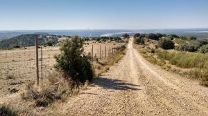 Caminos infinitos por la sierra de Madrid